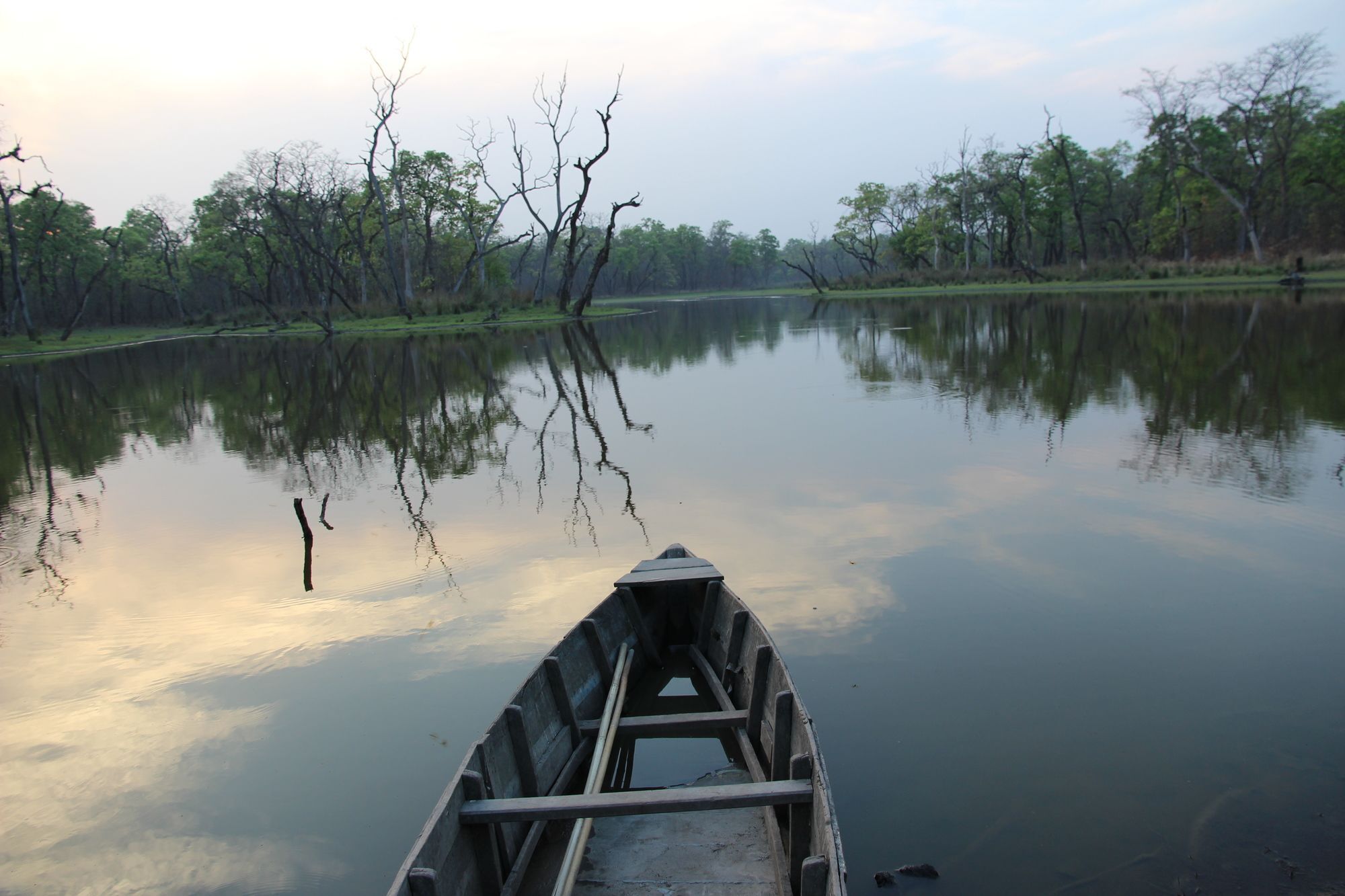 Jungle Sunset Camp Hotel Sauraha Kültér fotó