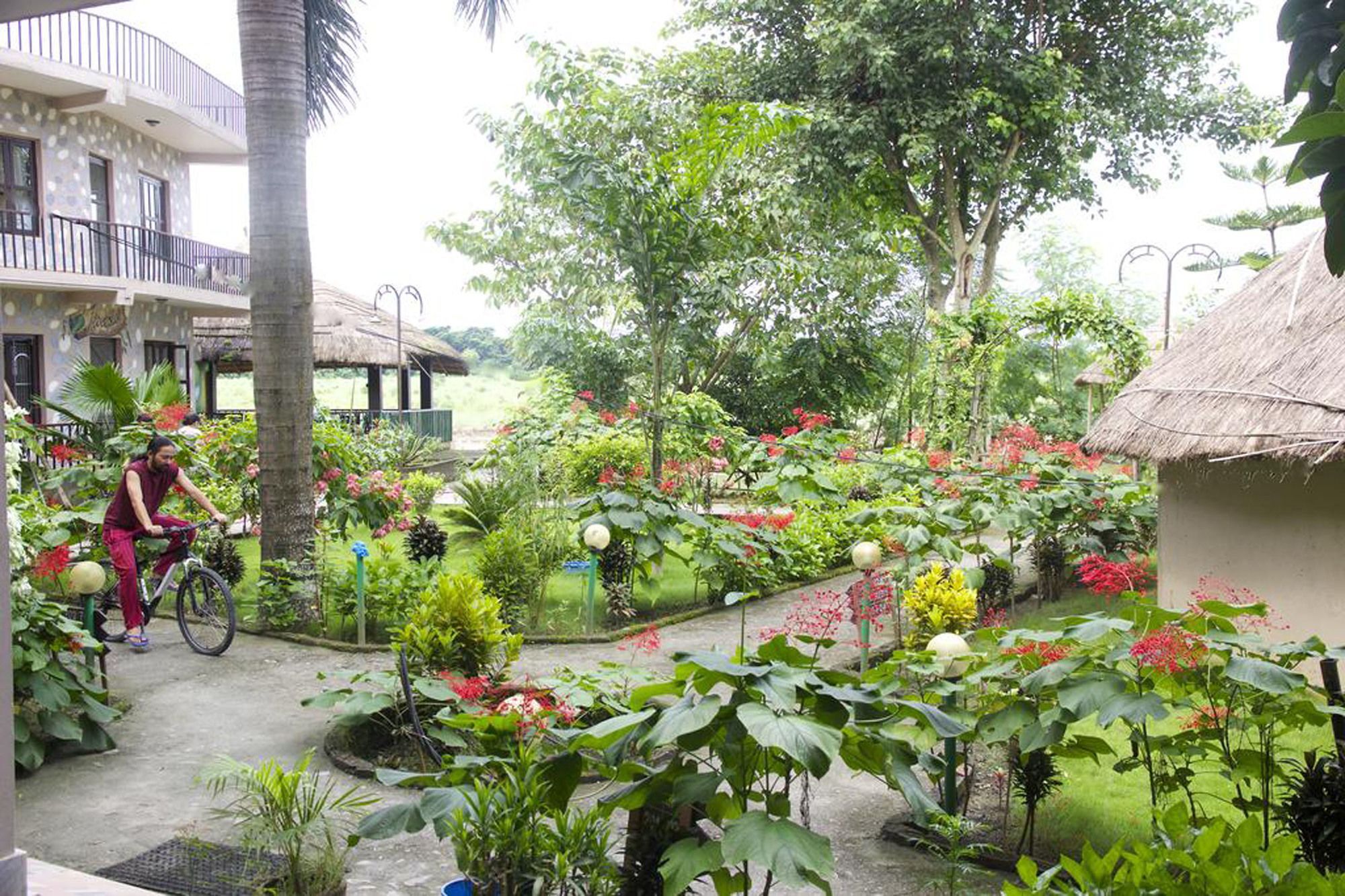 Jungle Sunset Camp Hotel Sauraha Kültér fotó