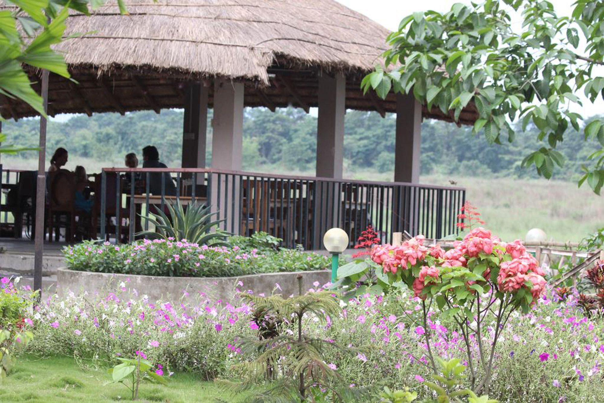 Jungle Sunset Camp Hotel Sauraha Kültér fotó